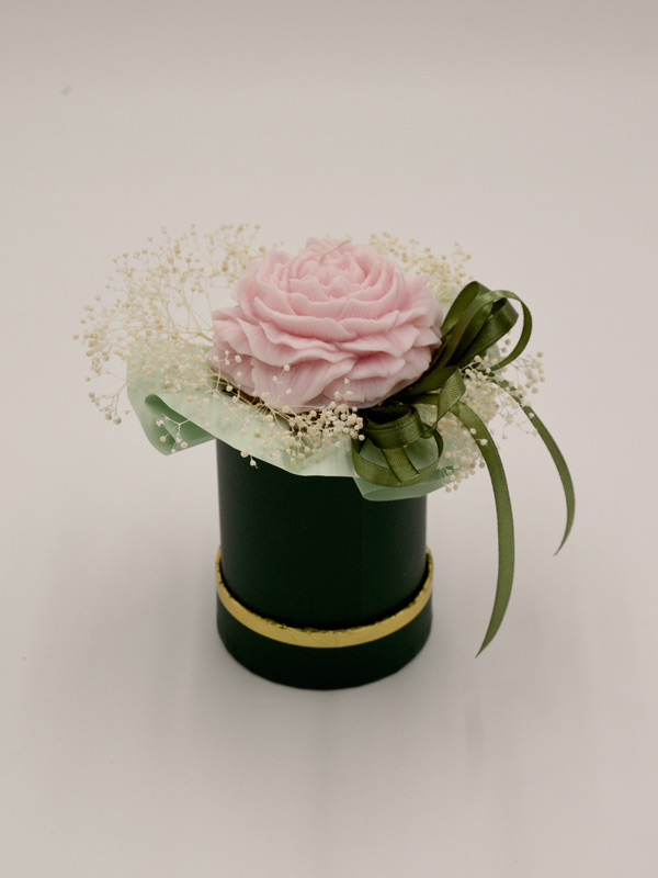 Floral Essence piwonia S