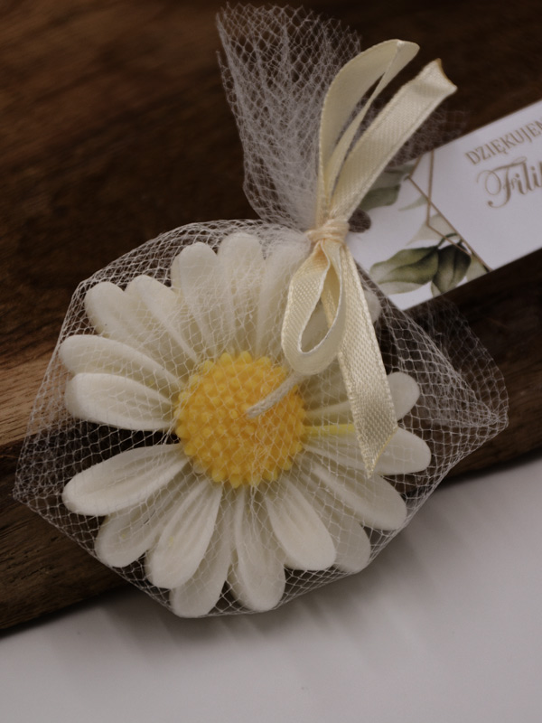 Stokrotka otulona tiulem